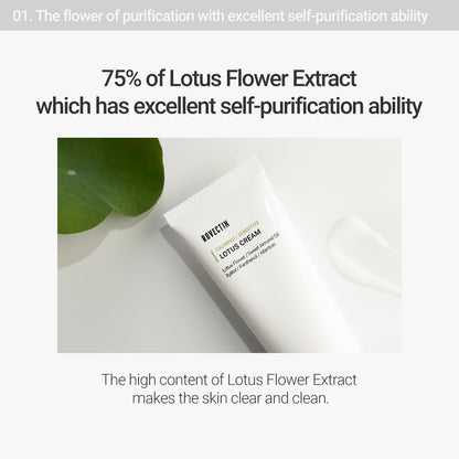 Calming Lotus Water Cream - Lightweight Moisturizer Face Cream for Oily, Combination Skin | 75% Lotus Water Extract for Skin Purifying, Anti-Aging | Vegan Korean Skincare (2.1 Fl.Oz, 60Ml)
