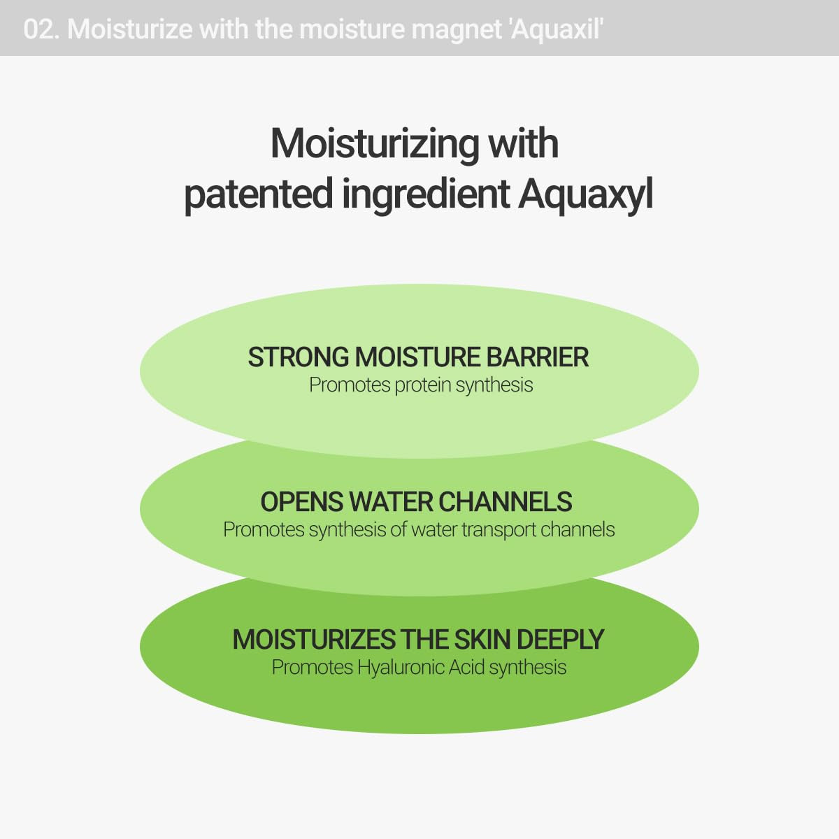 Calming Lotus Water Cream - Lightweight Moisturizer Face Cream for Oily, Combination Skin | 75% Lotus Water Extract for Skin Purifying, Anti-Aging | Vegan Korean Skincare (2.1 Fl.Oz, 60Ml)