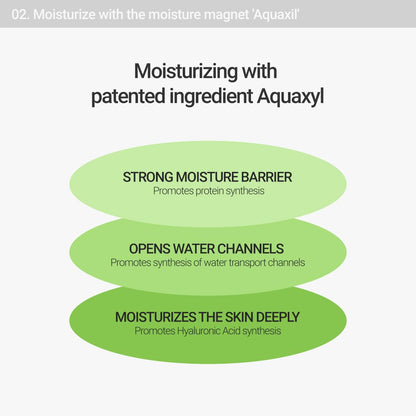 Calming Lotus Water Cream - Lightweight Moisturizer Face Cream for Oily, Combination Skin | 75% Lotus Water Extract for Skin Purifying, Anti-Aging | Vegan Korean Skincare (2.1 Fl.Oz, 60Ml)